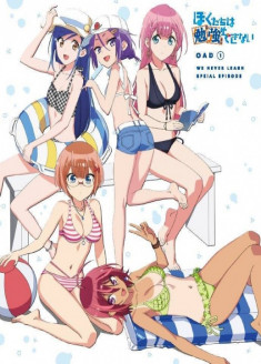 Bokutachi wa Benkyou ga Dekinai OAV streaming vostfr