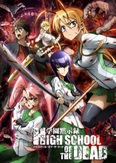 Streaming Gakuen Mokushiroku : Highschool of the Dead vostfr