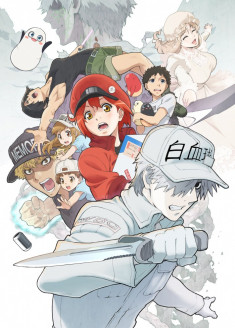 Streaming et Téléchargement Hataraku Saibou 2 vostfr