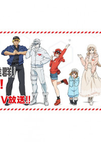 Hataraku Saibou : Kaze Shoukougun