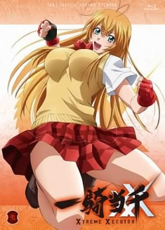 Streaming et Téléchargement Ikkitousen : Xtreme Xecutor Specials vostfr