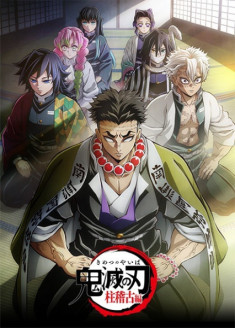 Regarder Kimetsu no Yaiba : Hashira Geiko-hen vostfr gratuitement