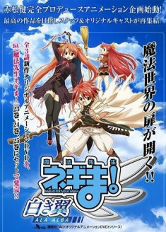 Regarder Mahou Sensei Negima! Shiroki Tsubasa Ala Alba vostfr gratuitement