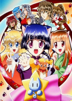 Mahou Shoujo Neko Taruto streaming vostfr