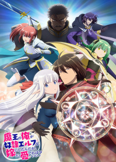 Maou no Ore ga Dorei Elf wo Yome ni Shitanda ga, Dou Medereba Ii? streaming vostfr