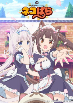 Streaming Nekopara (TV) vostfr