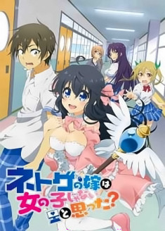 Netoge no Yome wa Onnanoko ja Nai to Omotta? streaming vostfr