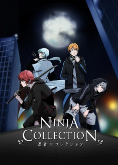 Regarder Ninja Collection vostfr gratuitement