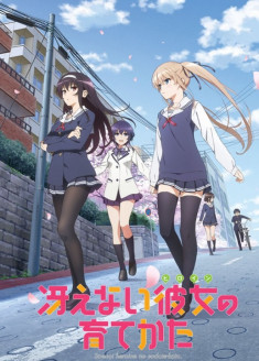 Saenai Heroine no Sodatekata streaming vostfr