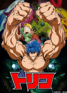 Toriko: Jump Festa 2009 Special streaming vostfr