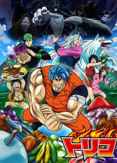 Regarder Toriko vostfr gratuitement