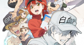 Hataraku Saibou 2 Episode 08 Vostfr