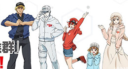 Hataraku Saibou : Kaze Shoukougun Special 01 Vostfr