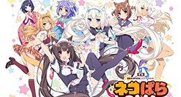 Nekopara OAV 01 Vostfr